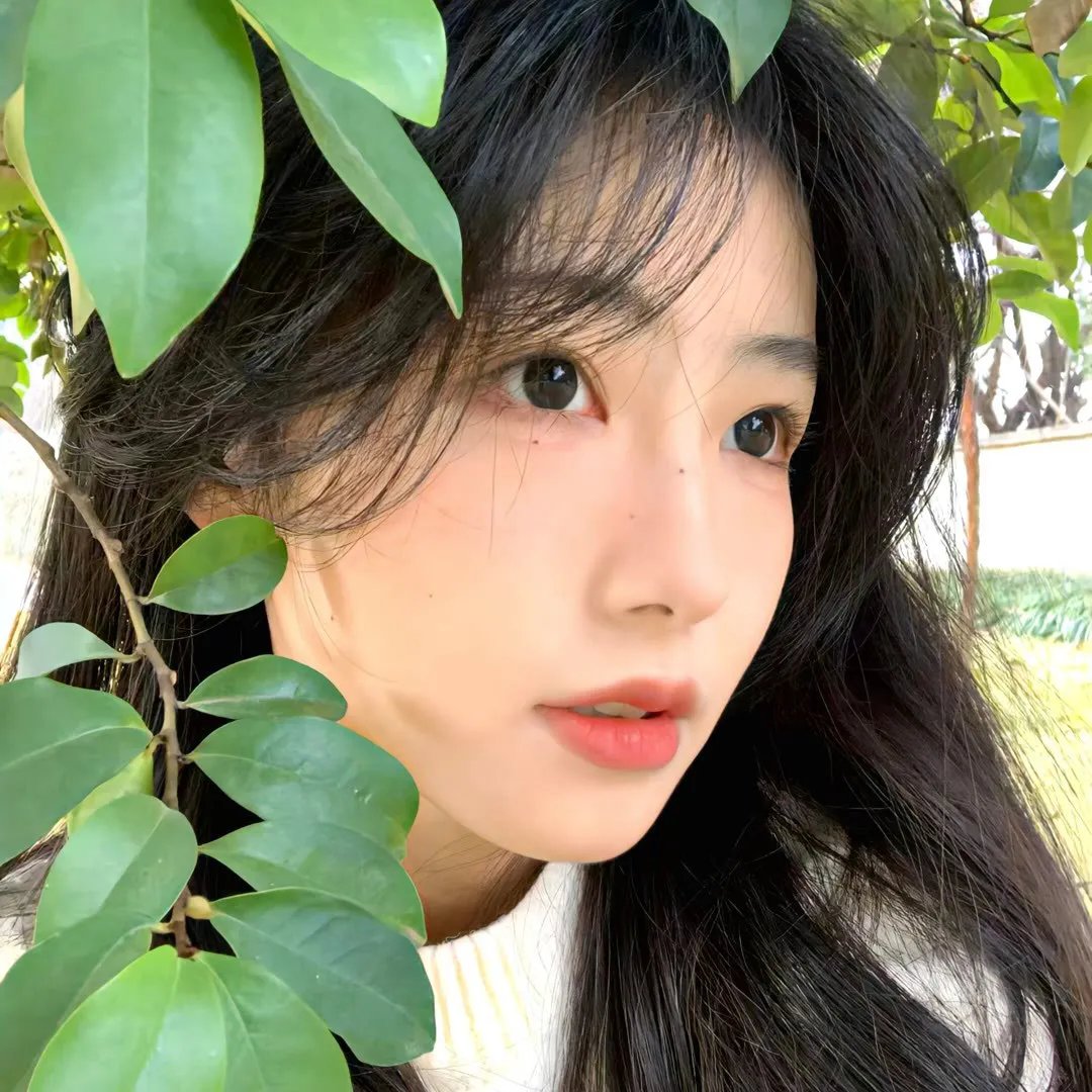 安娜波里斯传奇